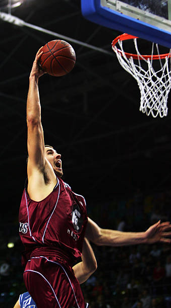 了重要作用 了重要作用